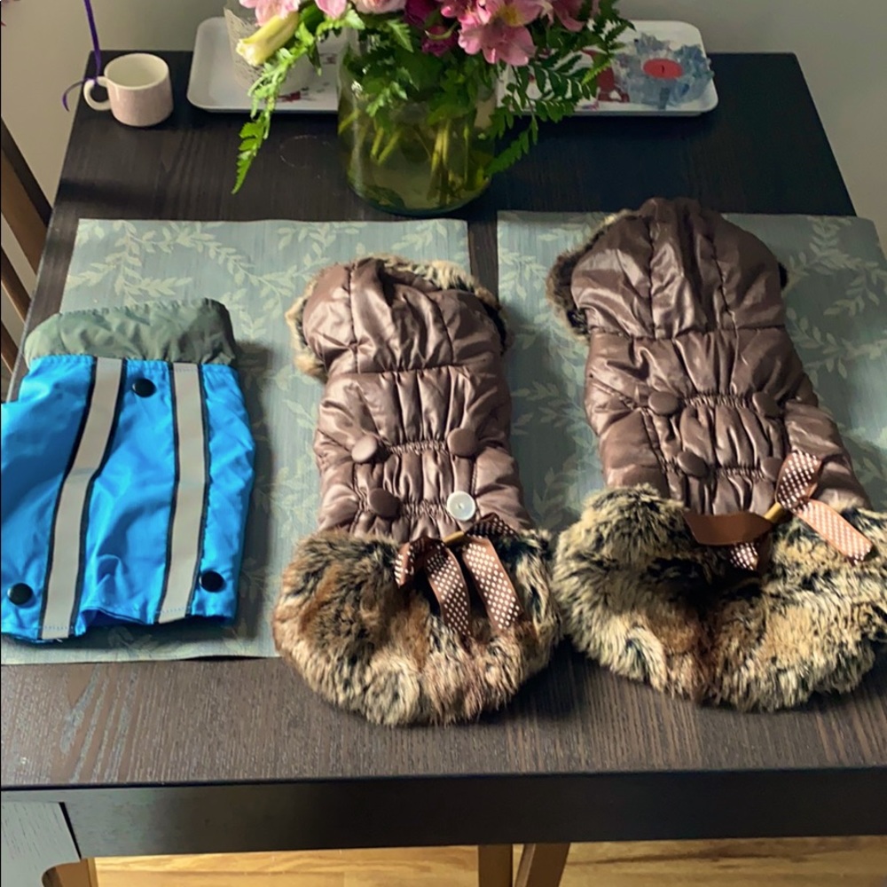 Dog clothes